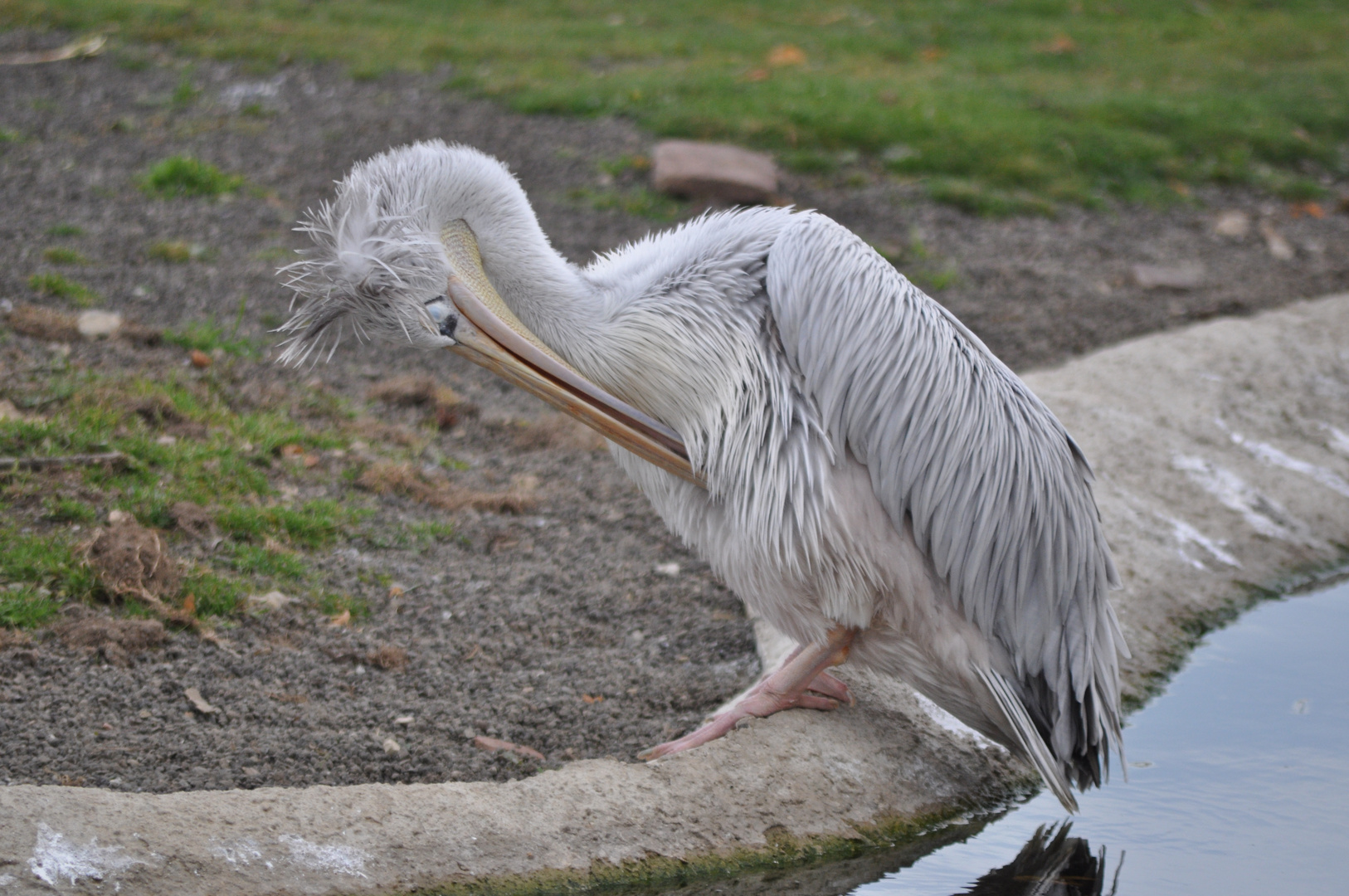 Zoo Osnabrück