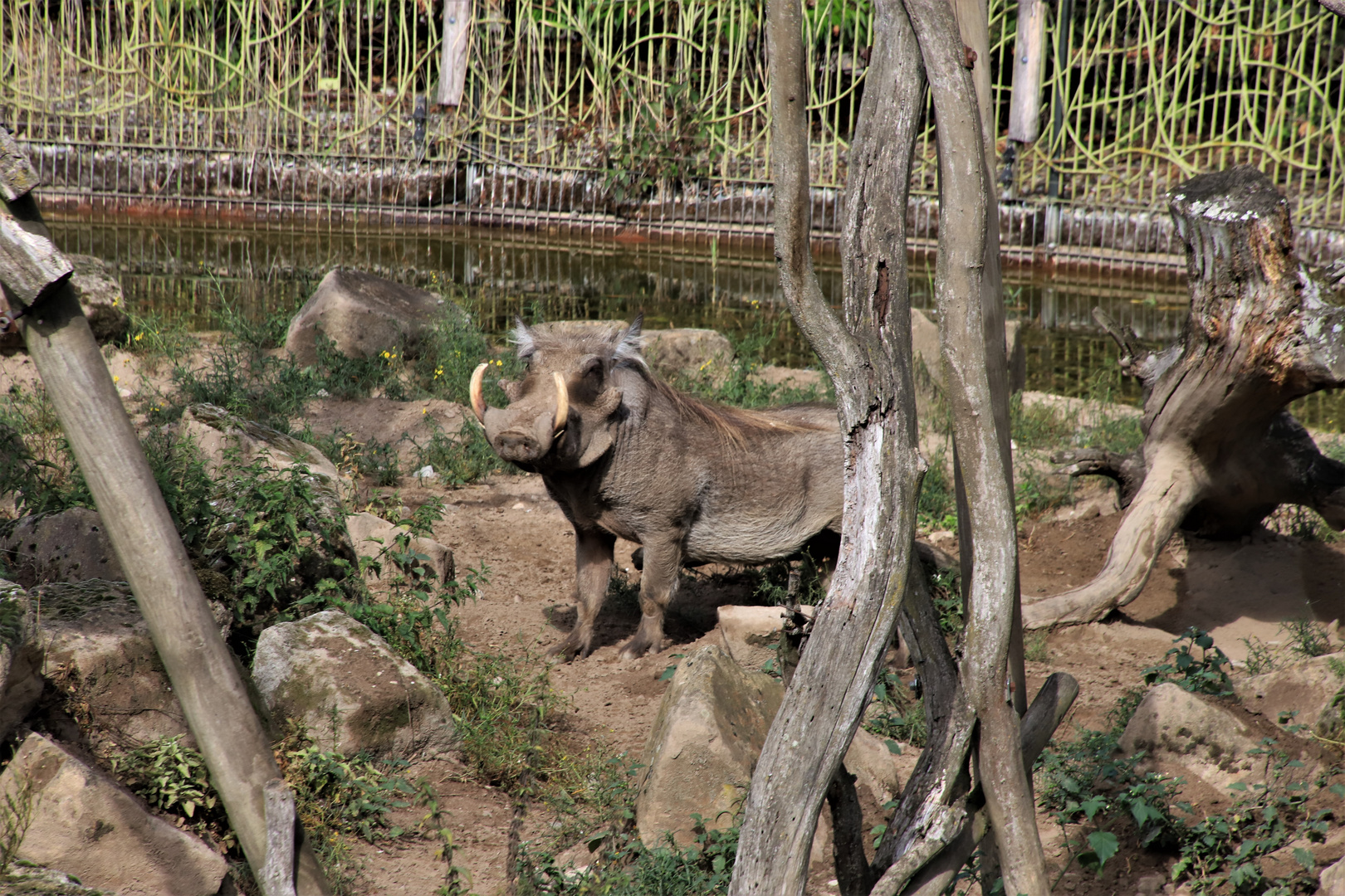 Zoo Osnabrück