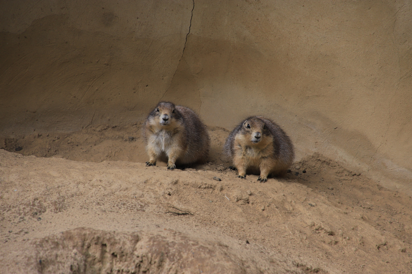 Zoo Osnabrück