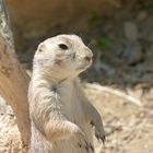 Zoo Osnabrück