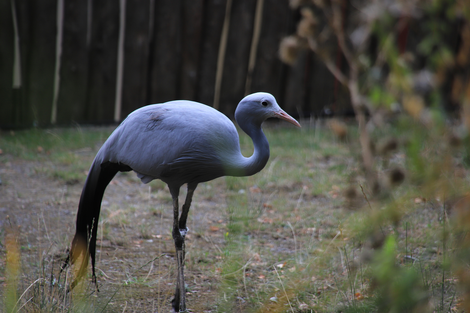 Zoo Osnabrück