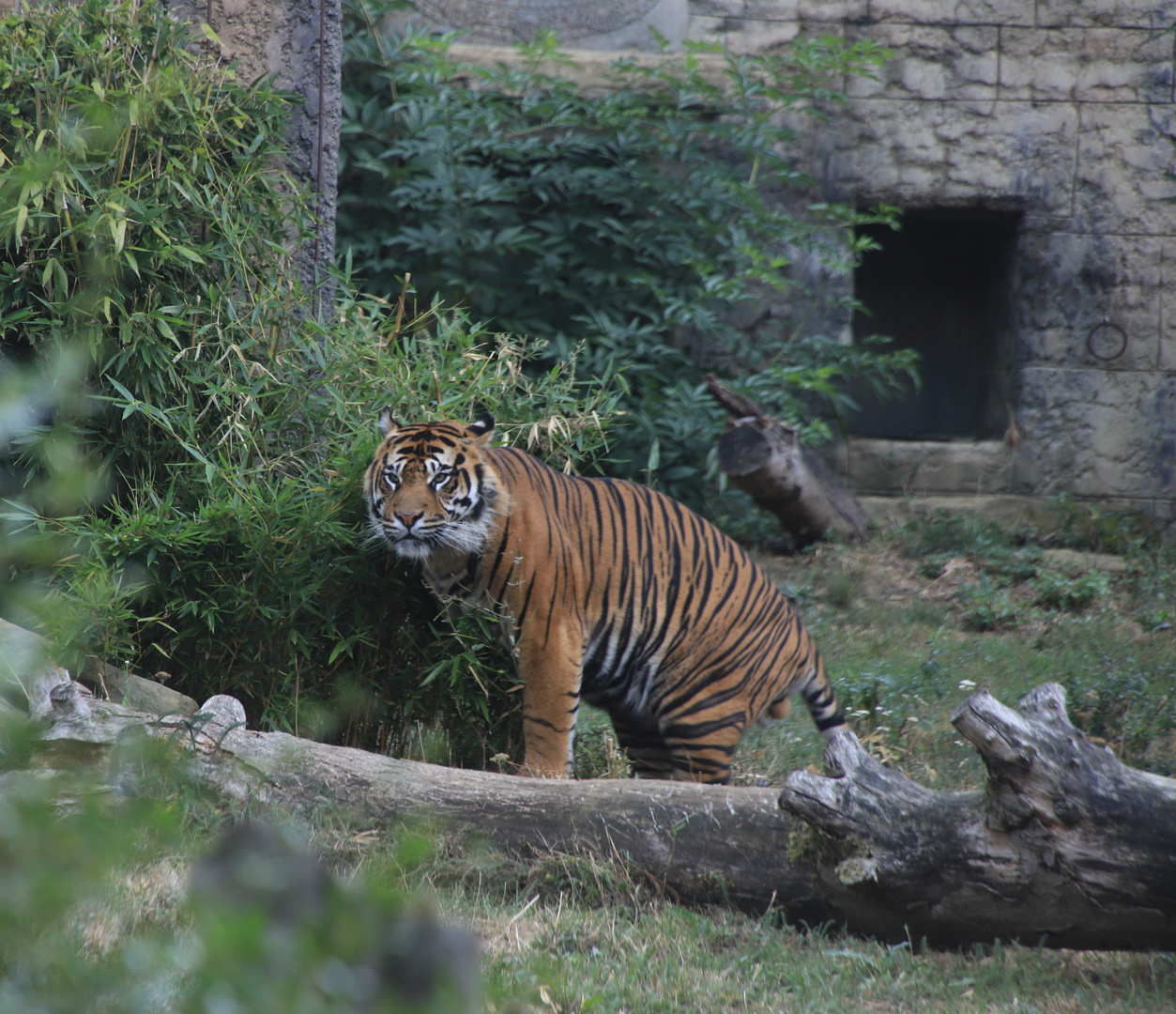 Zoo Osnabrück