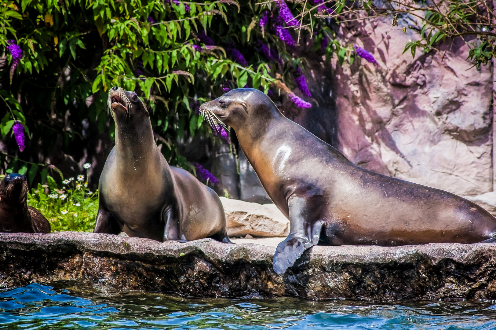 Zoo Park in Gelsenkirchen