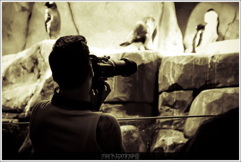 Zoo PhotographerA photographer at the zoo. Actually a better motive then the targeted animals.