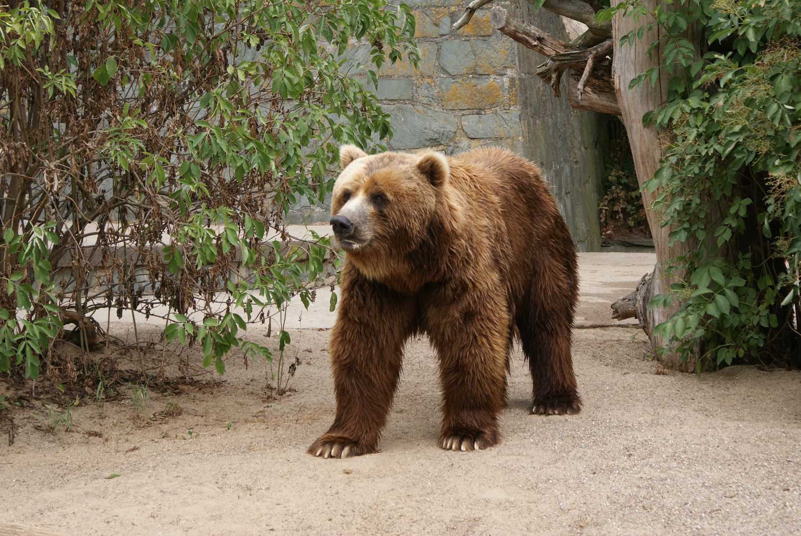 Zoo Rostock