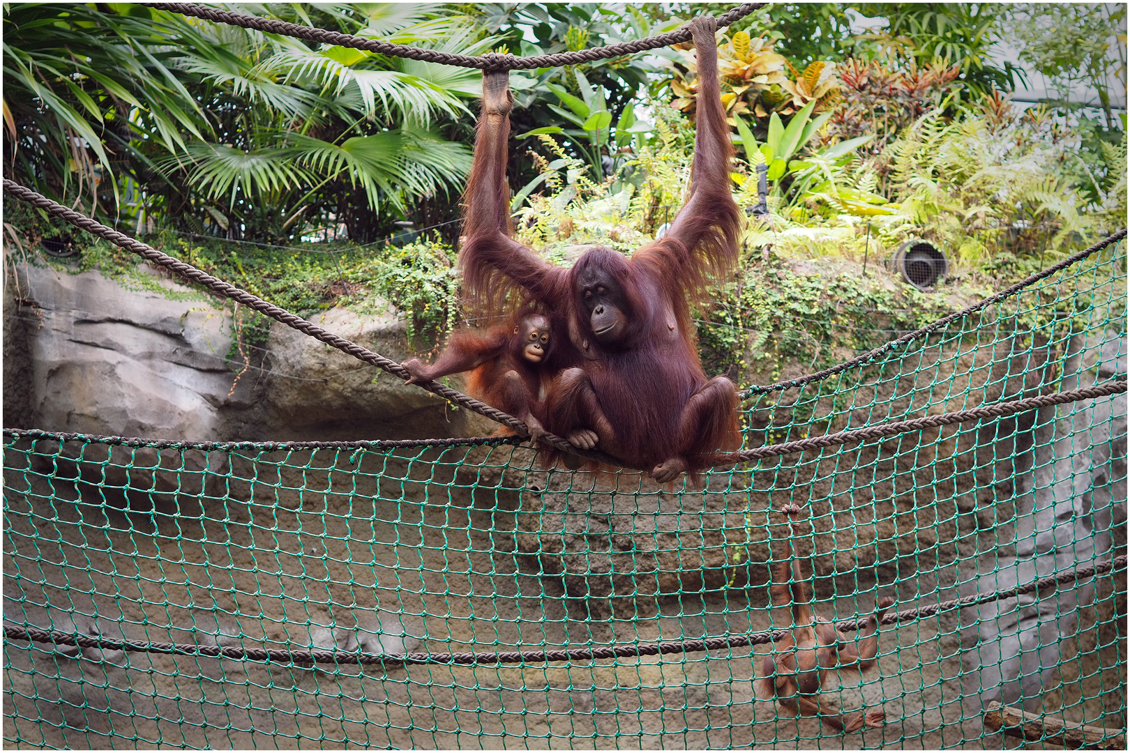 Zoo Rostock (3)