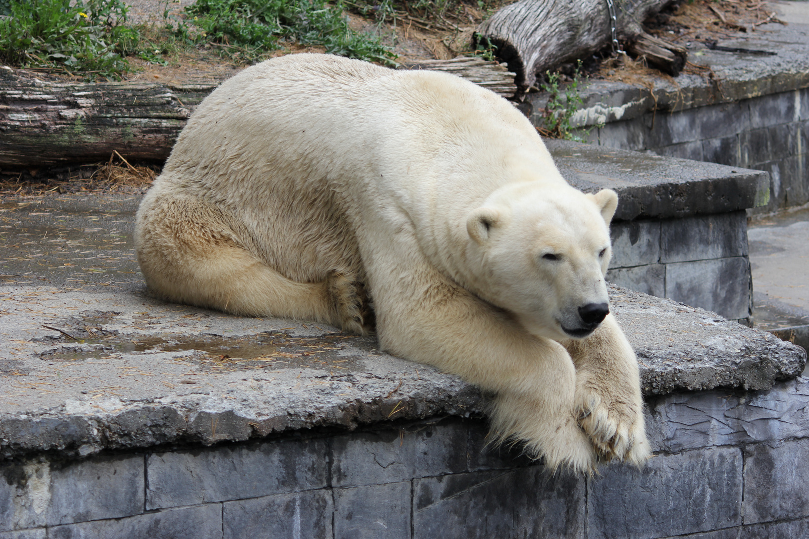 Zoo Rostock 4