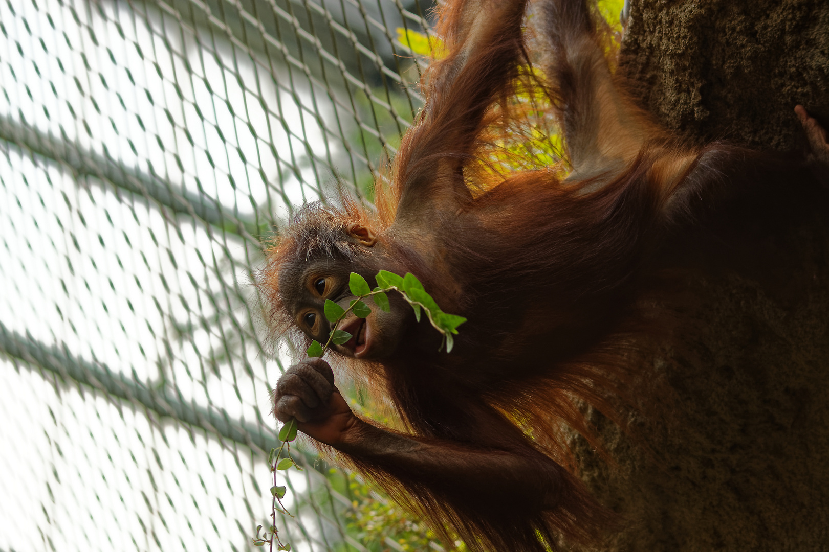 Zoo Rostock