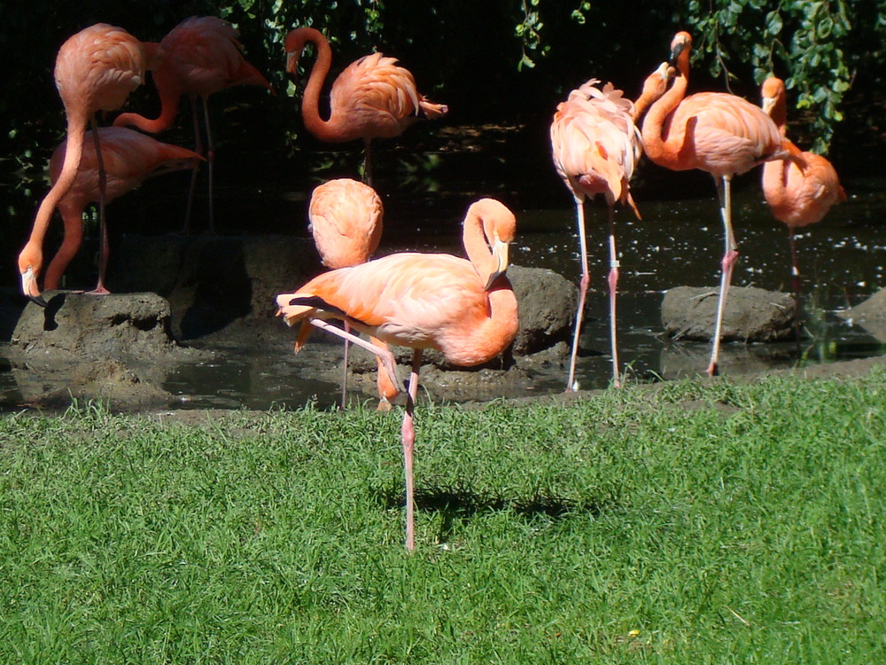 Zoo Rostock