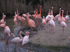 Zoo Saarbeücken