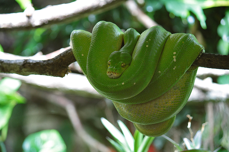 Zoo Salzburg 5