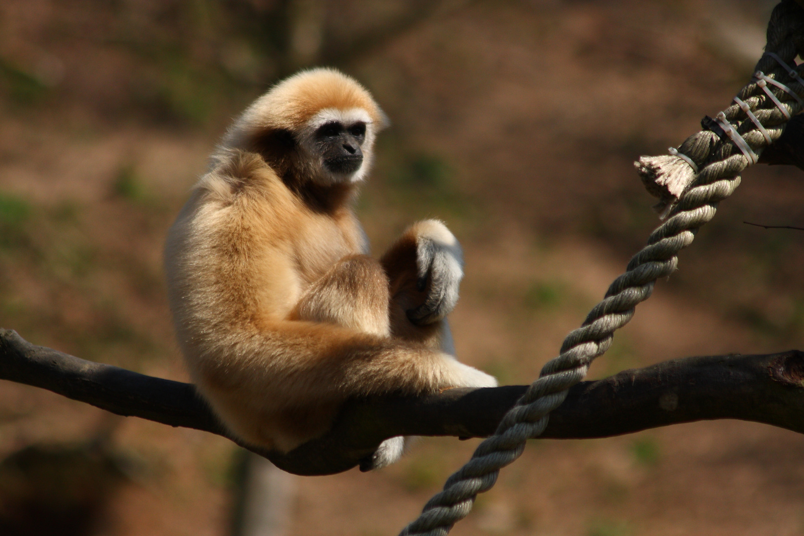 Zoo Salzburg