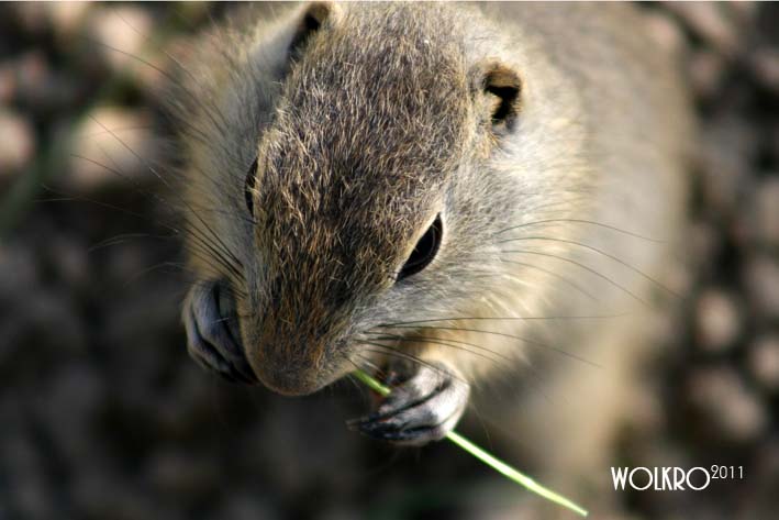 Zoo Schmieding_4