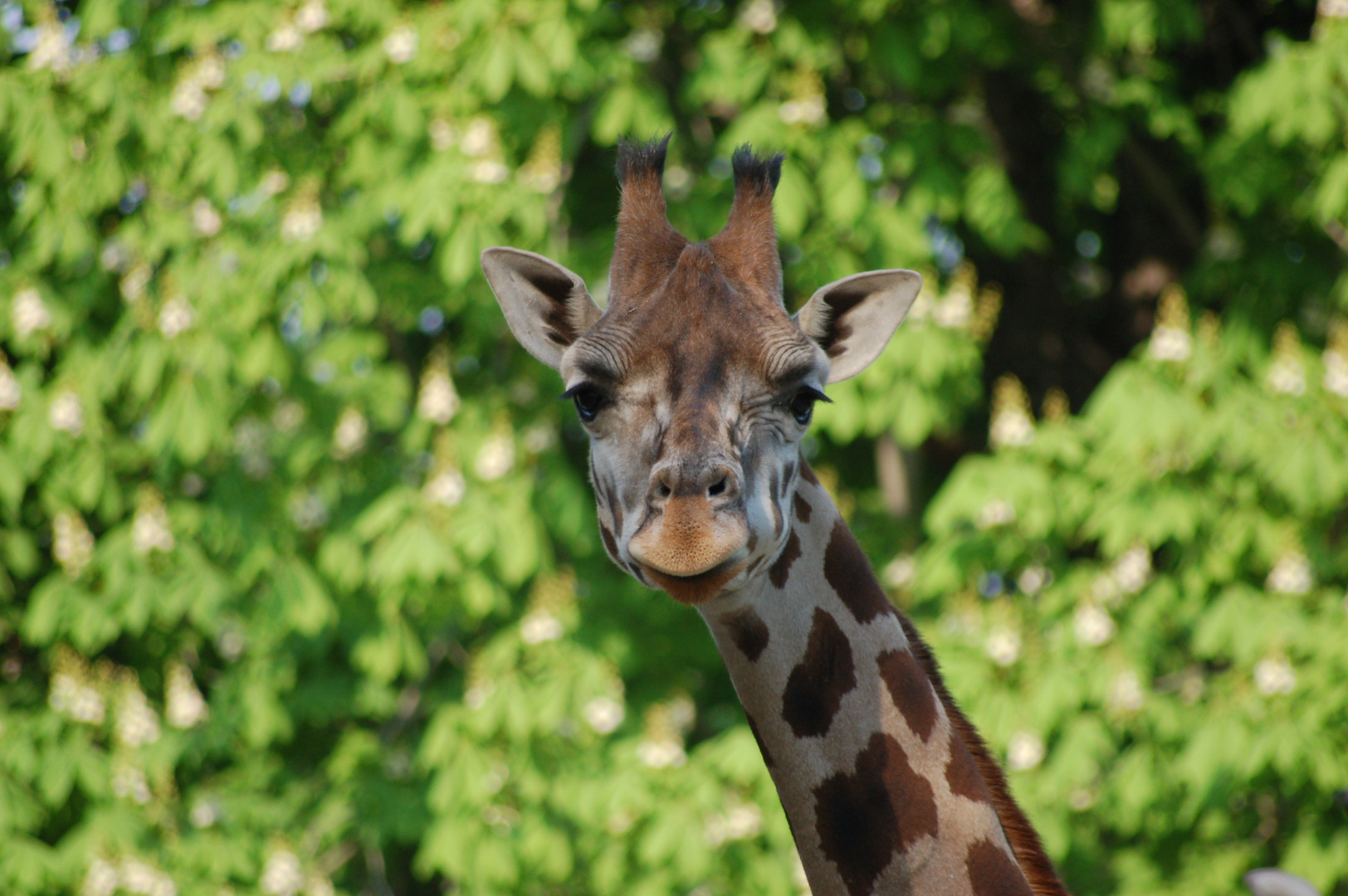 Zoo Schönbrunn 001