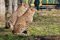 Zoo Schönbrunn