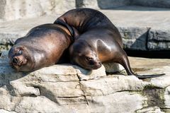 Zoo Schönbrunn_1