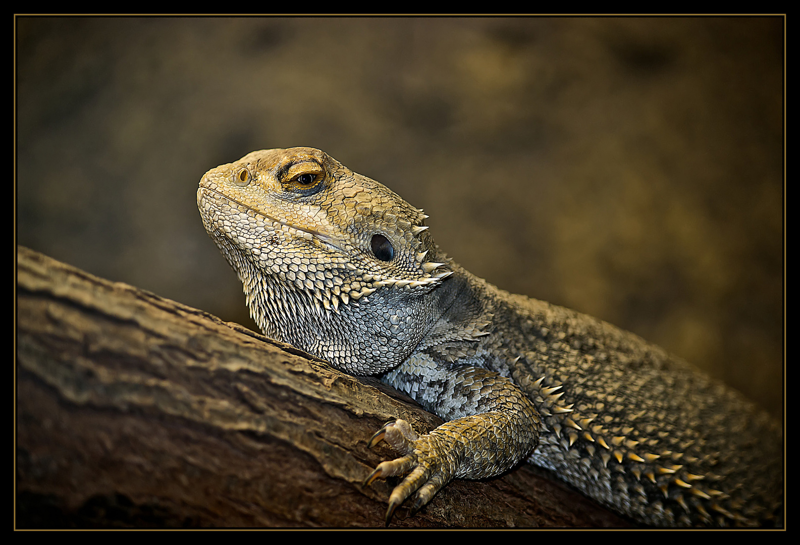 Zoo Schwerin 2