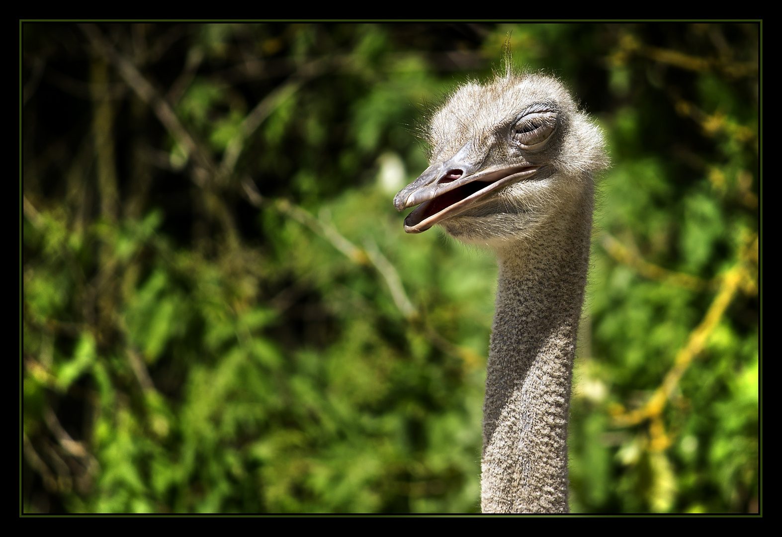 Zoo Schwerin