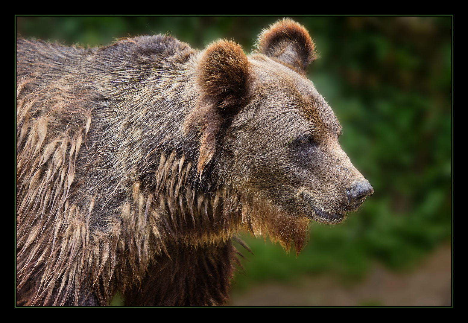 Zoo Schwerin 4