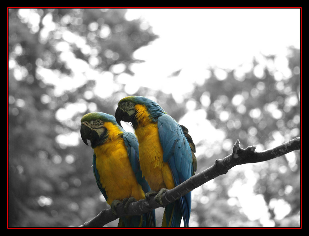 Zoo Schwerin