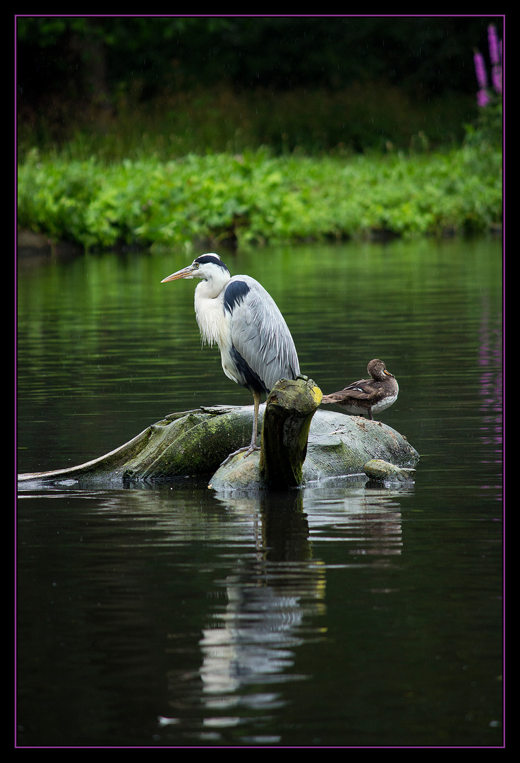 Zoo Schwerin