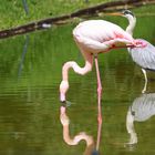 Zoo Stuttgart