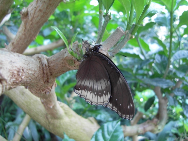 Zoo Stuttgart