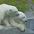 Zoo Stuttgart