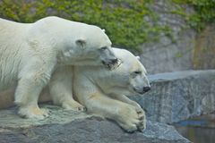 Zoo Stuttgart