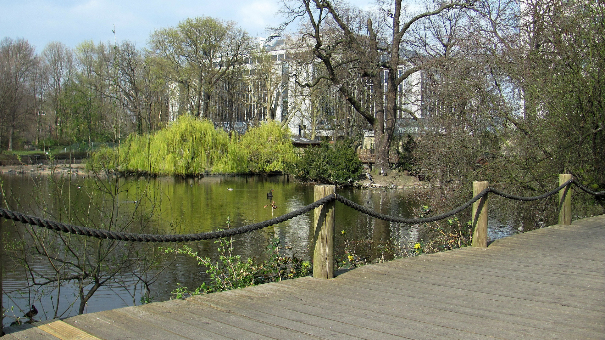 Zoo-Teich im Frühling