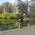 Zoo-Teich im Frühling