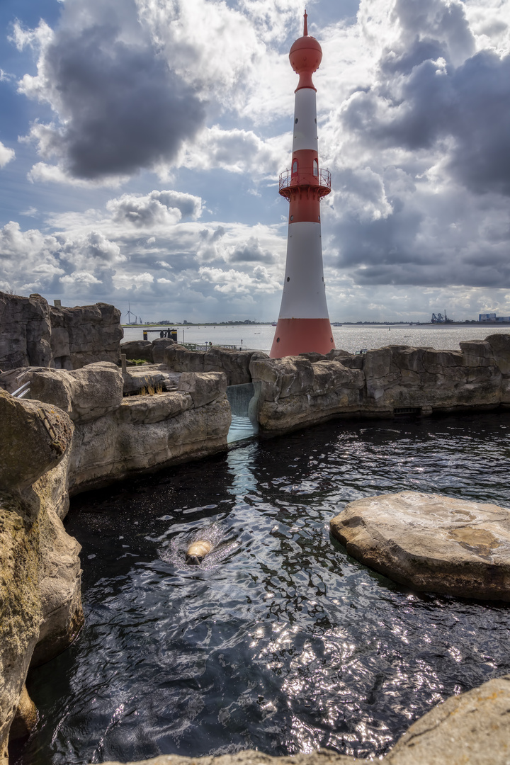 Zoo und Leuchtturm in Bremerhaven