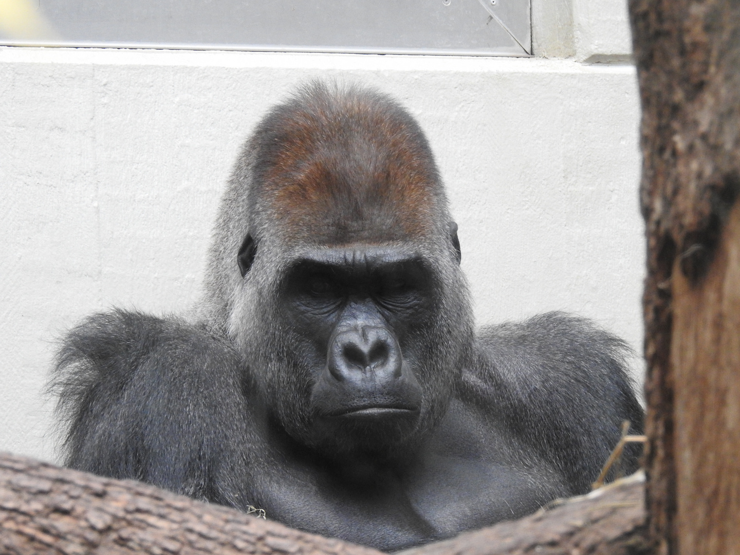 Zoo Wuppertal