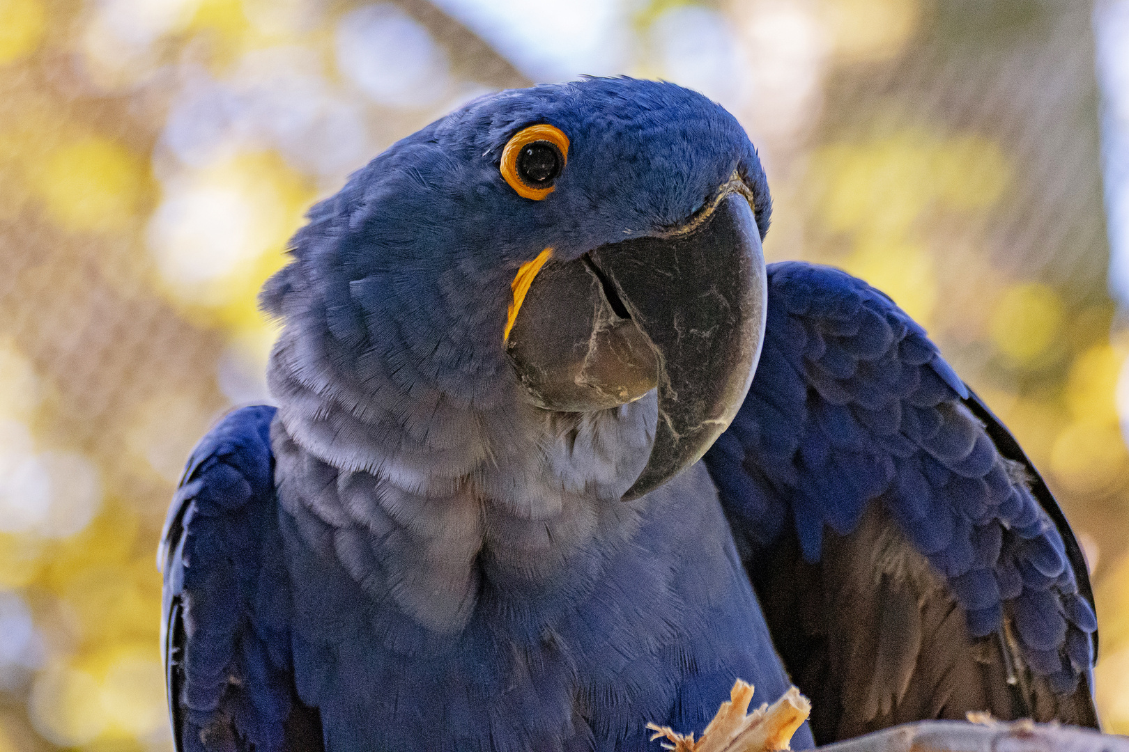 Zoo Wuppertal