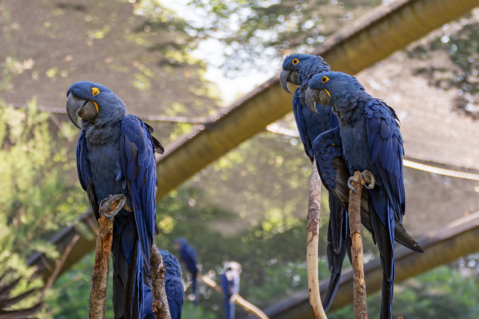  Zoo Wuppertal 