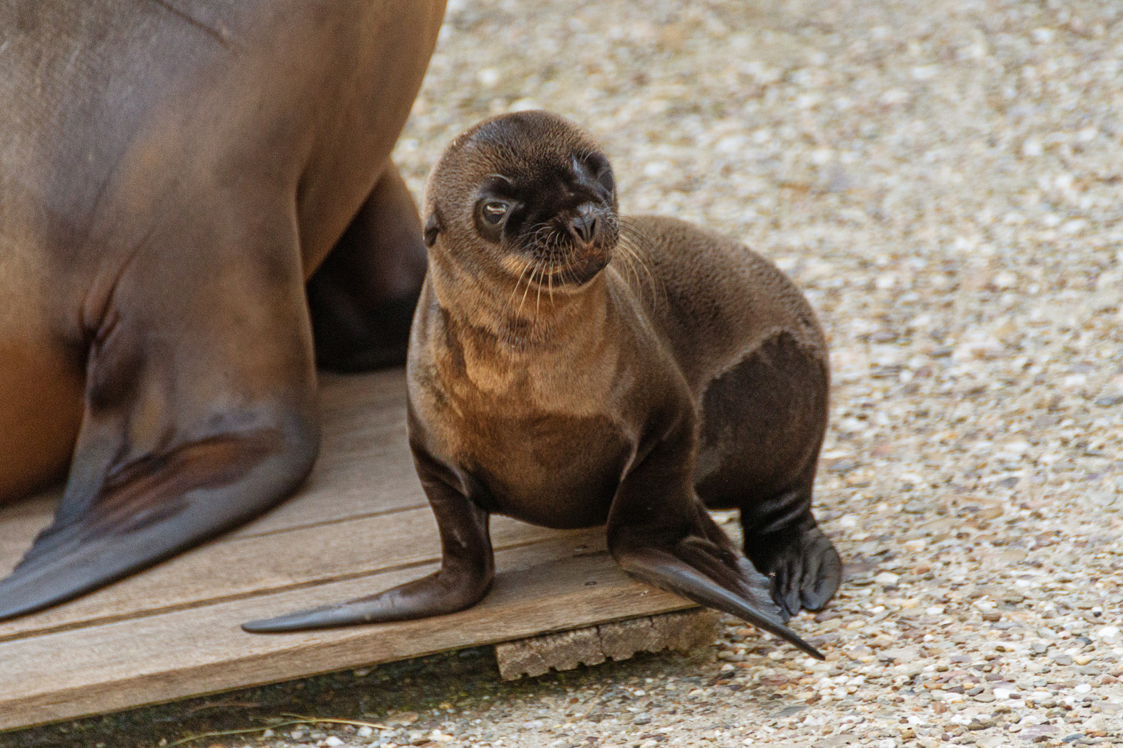 Zoo Wuppertal