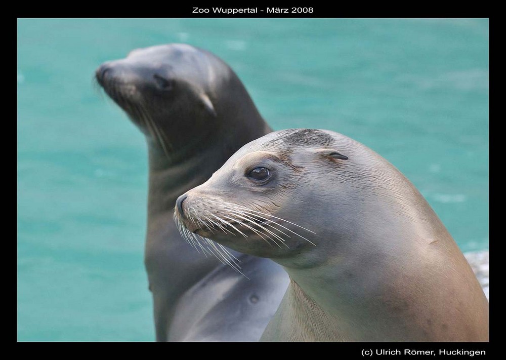 Zoo Wuppertal