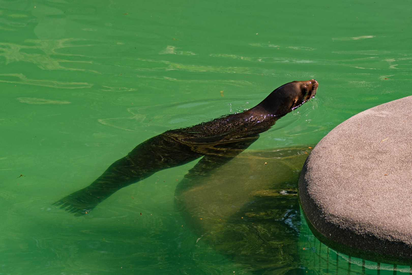 Zoo Wuppertal