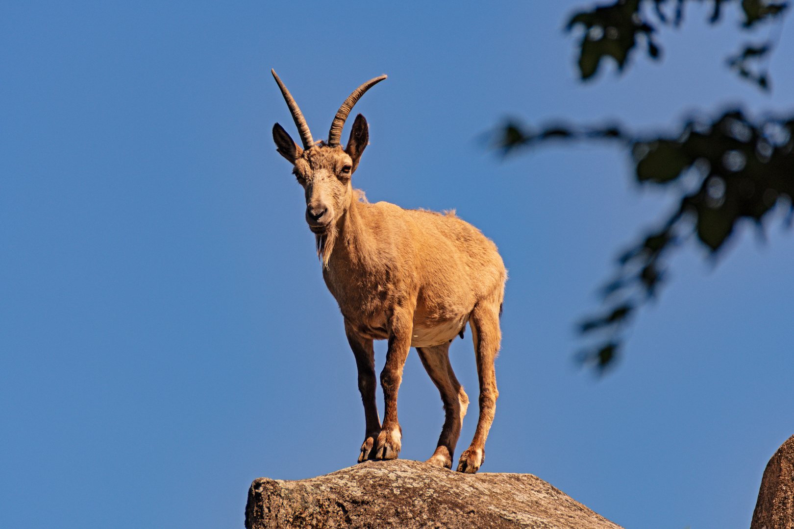 Zoo Wuppertal