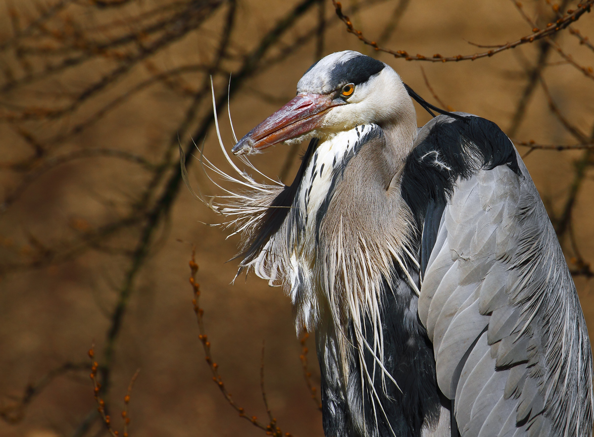 Zoo Wuppertal