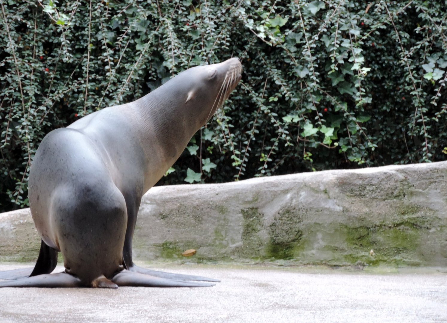 Zoo Wuppertal