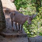  Zoo Wuppertal 