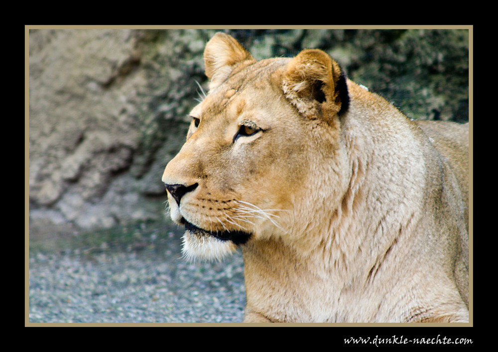 Zoo Wuppertal 6