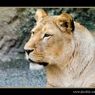 Zoo Wuppertal 6