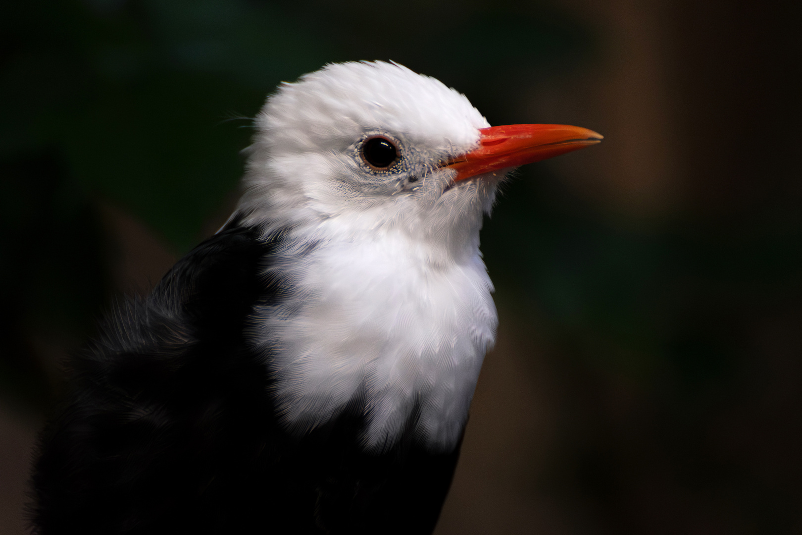 Zoo Wuppertal 