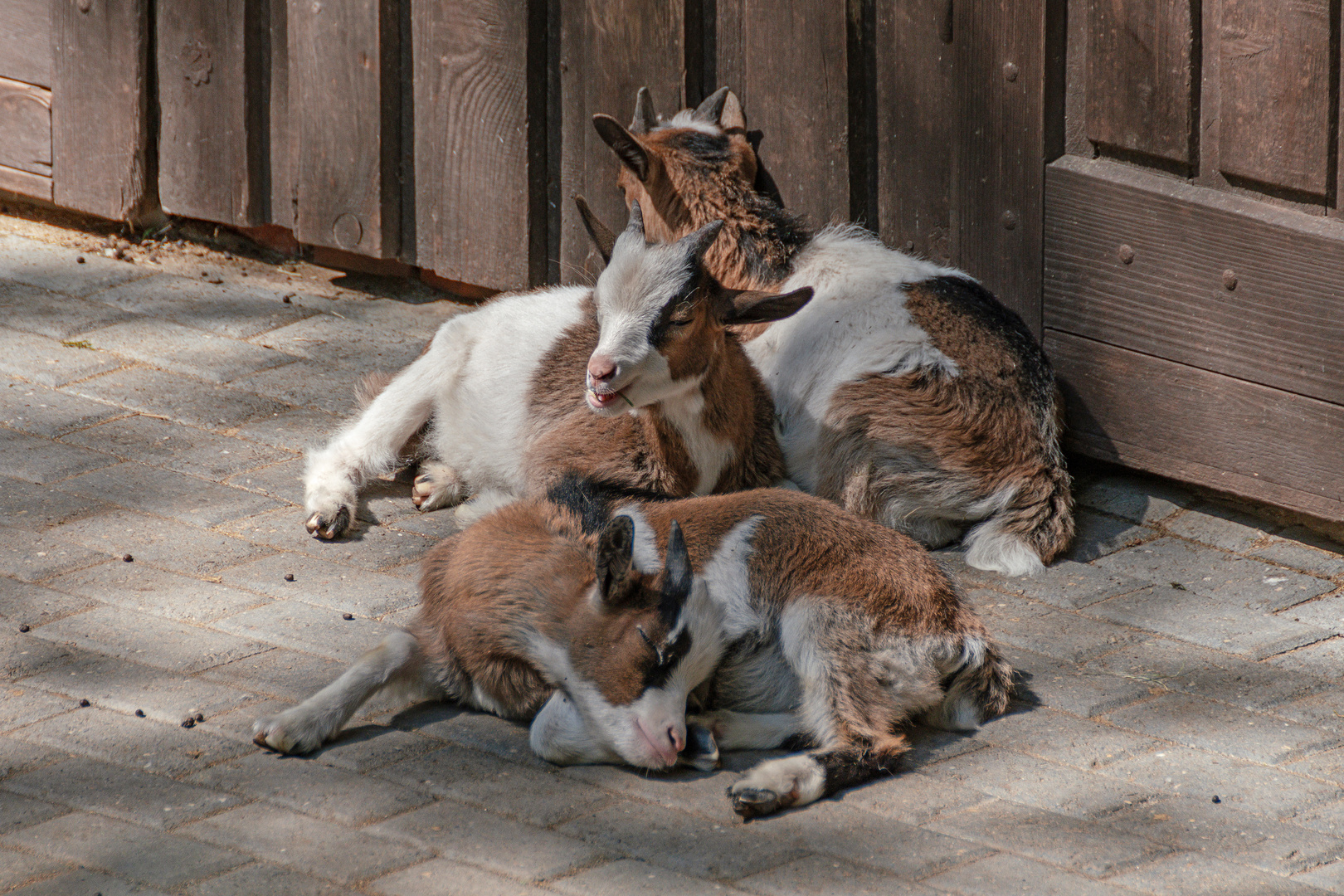 Zoo Wuppertal