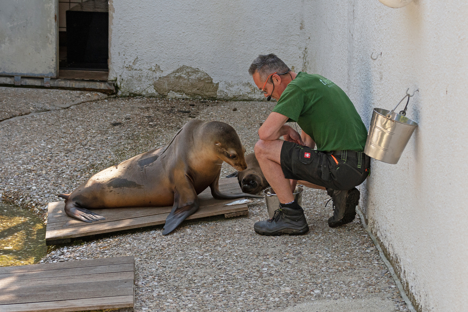 Zoo Wuppertal