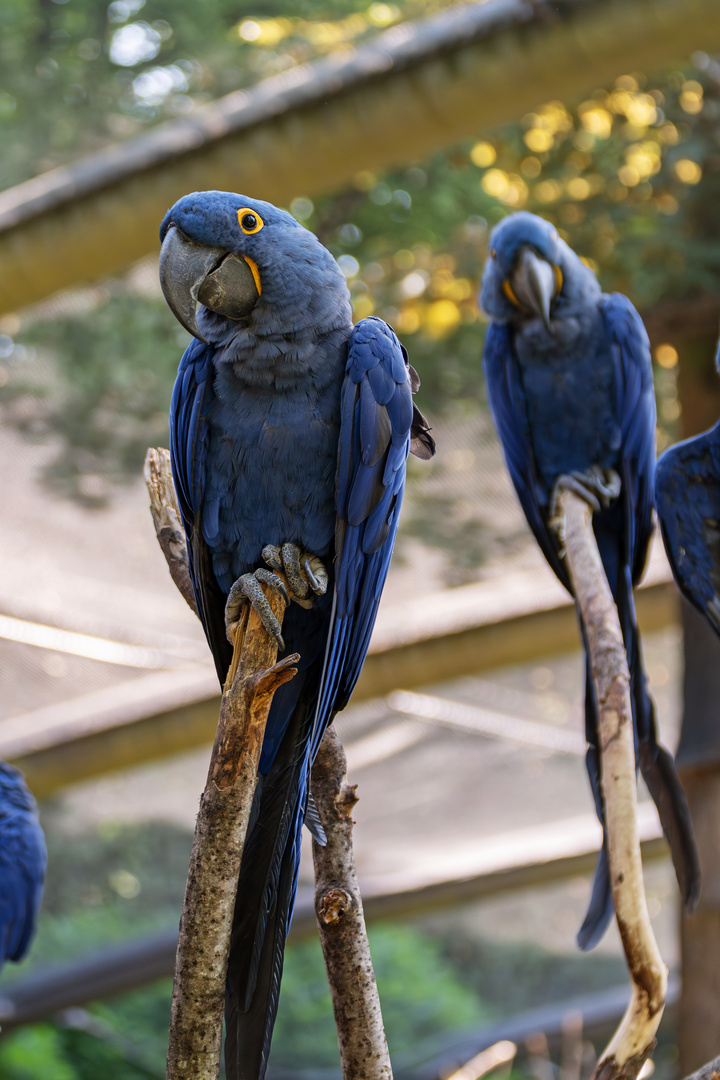  Zoo Wuppertal 