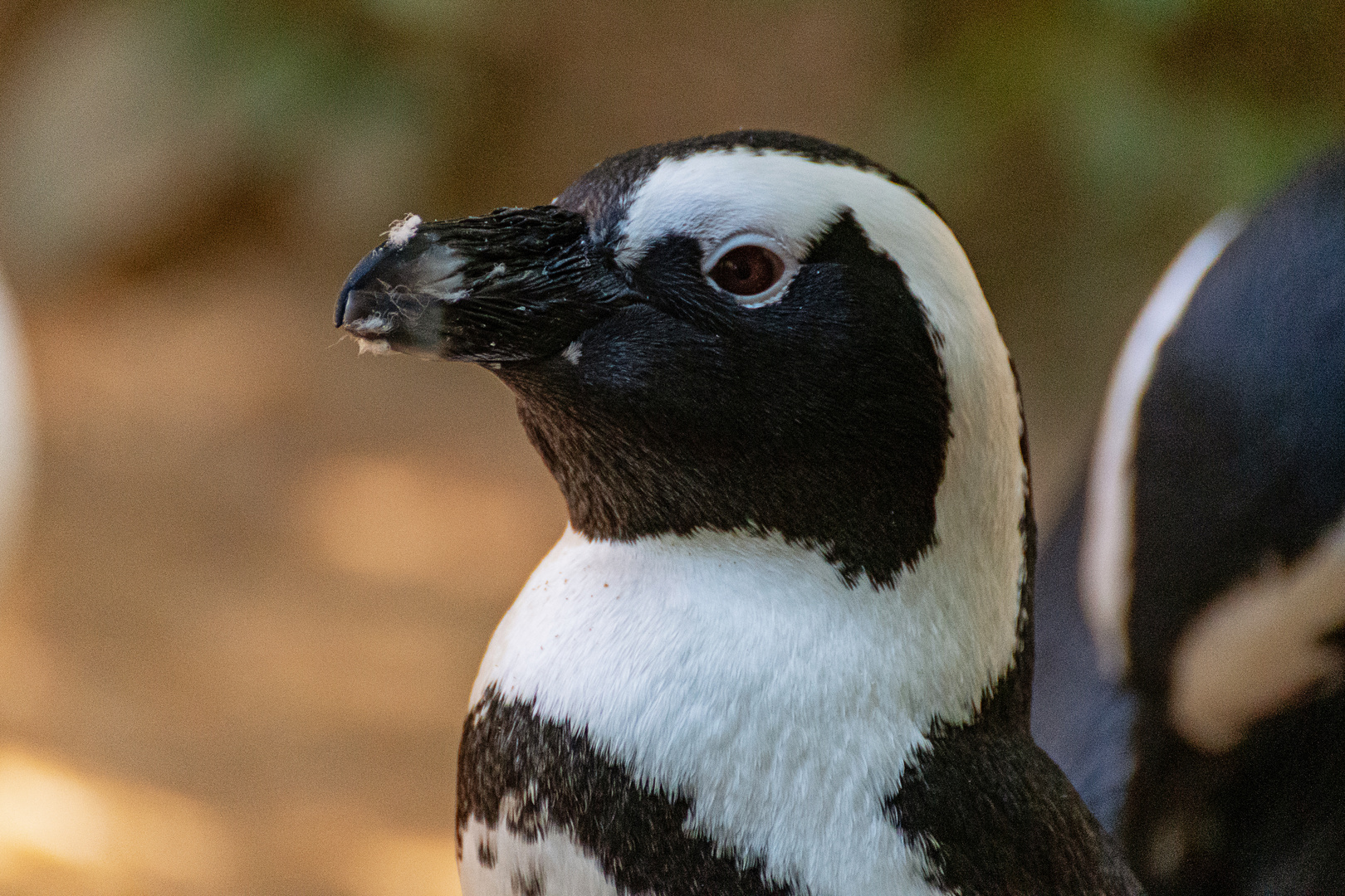 Zoo Wuppertal