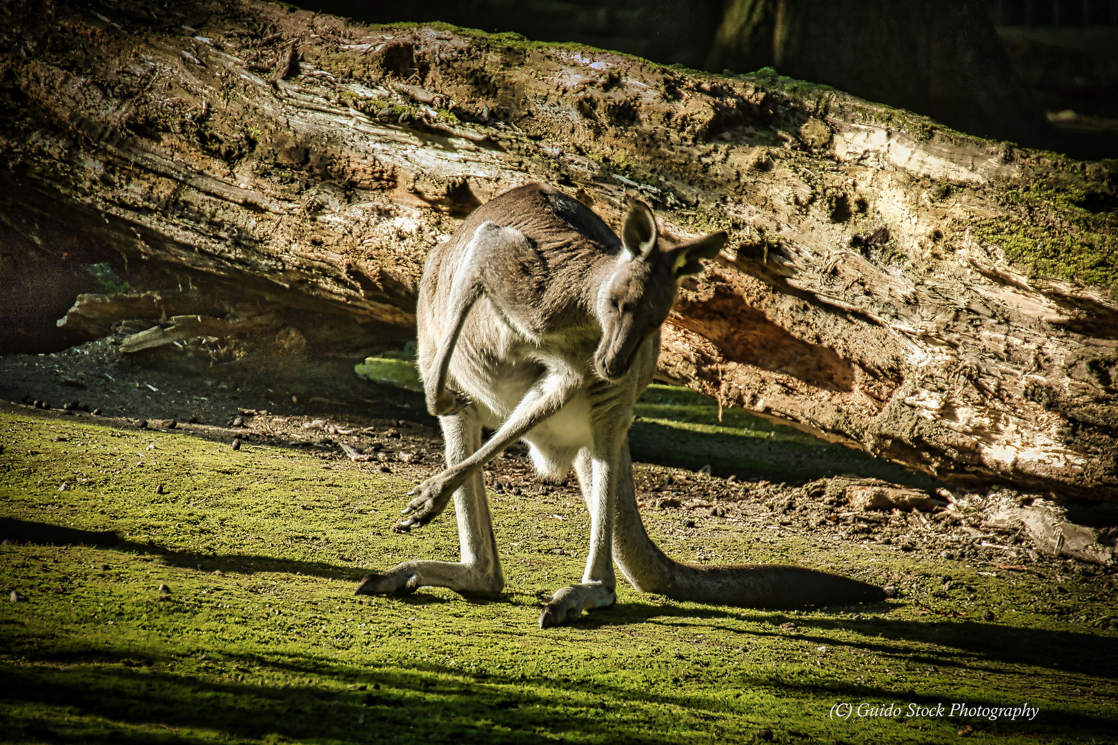 Zoo Wuppertal 